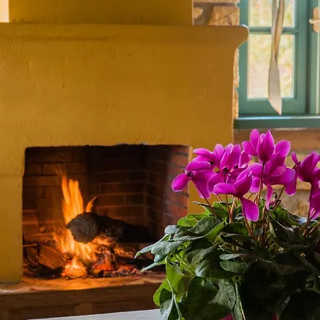 Platanorema Agios Ioannis Prodromos