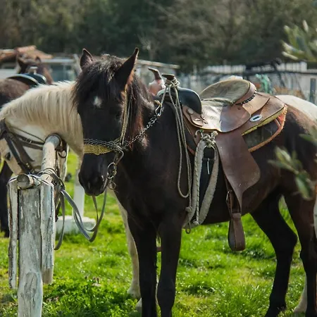 Platanorema Farm stay Agios Ioannis Prodromos