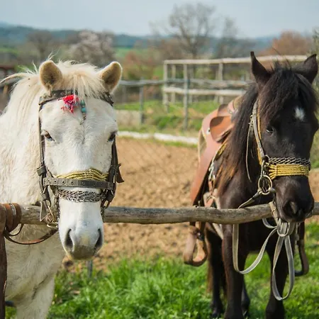 Platanorema Séjour à la ferme *