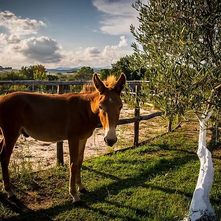 Platanorema Séjour à la ferme *