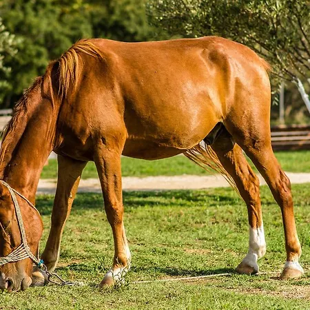 Séjour à la ferme Platanorema *