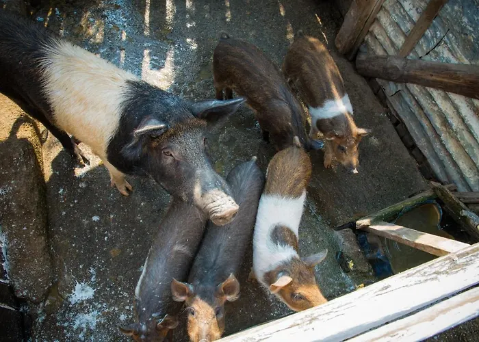 Platanorema Ájosz Joánisz Pródromosz