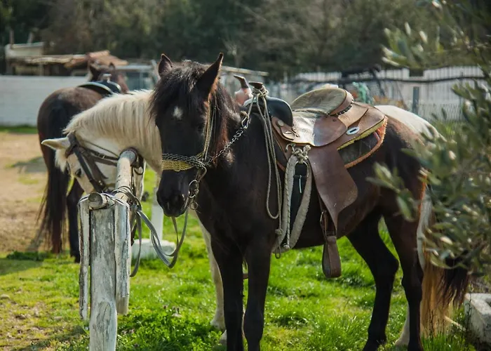 Platanorema Farmház Ájosz Joánisz Pródromosz