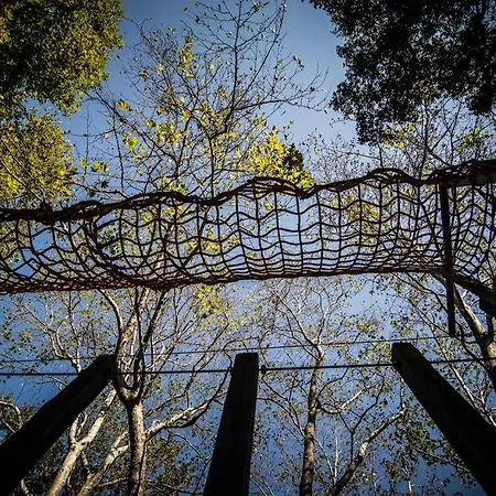 ファームステイ Platanorema