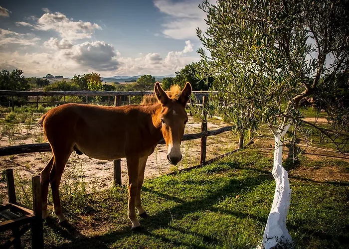 Platanorema Pensiune agroturistice *